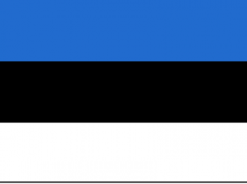 爱沙尼亚外观专利6199元