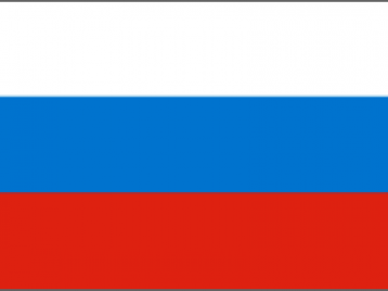 俄罗斯商标5300元